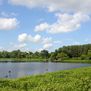 Tuckahoe State Park | Maryland Historic District