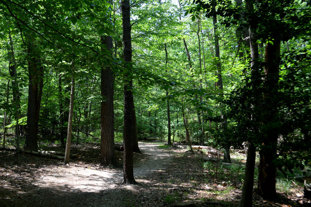 Greenbelt Park  Maryland Historic District