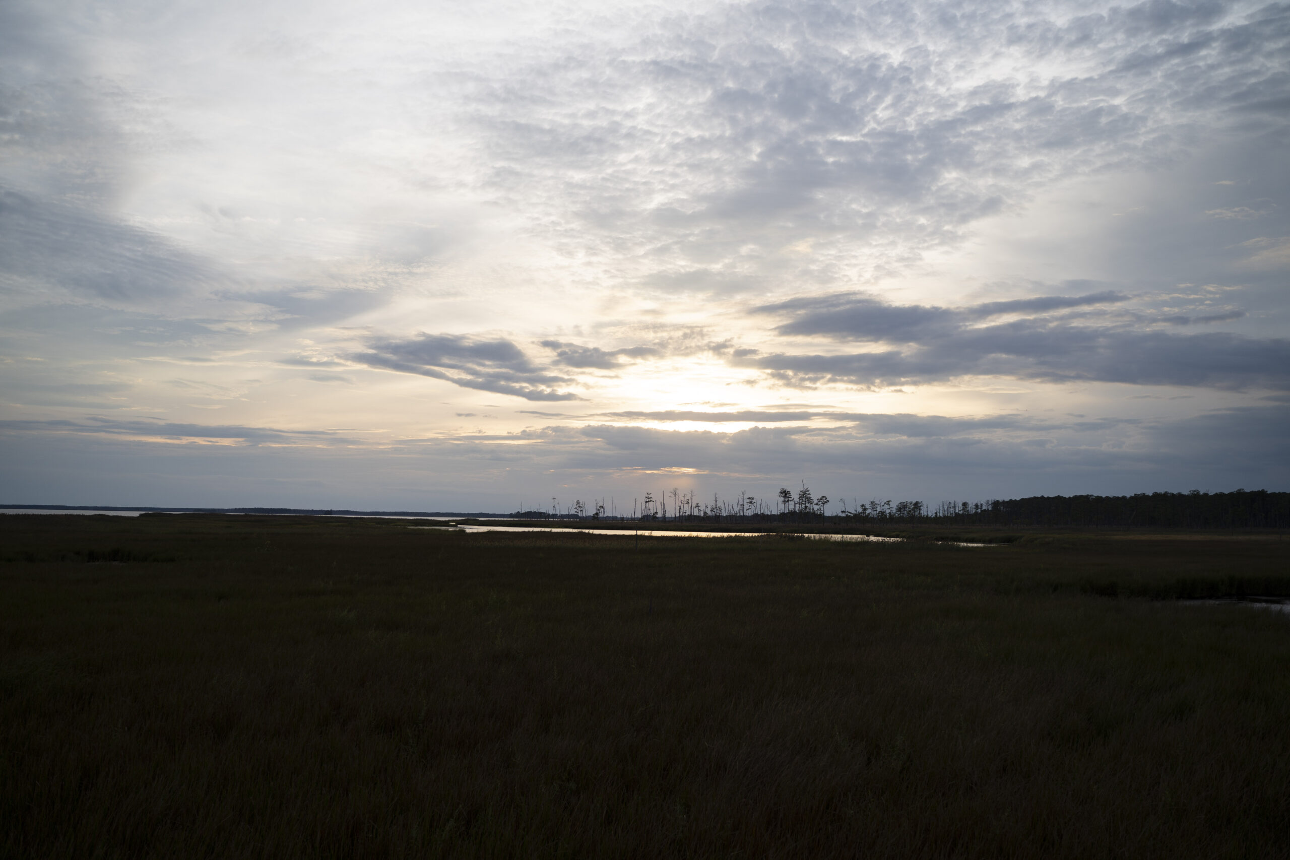 Cloudy view of the marsh with sun behind the clouds