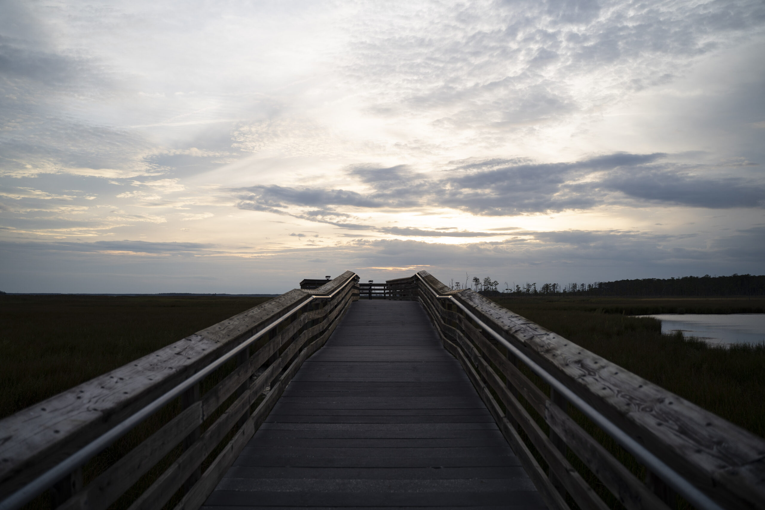 Elevated boardwalk with 360 degree views of the marsh