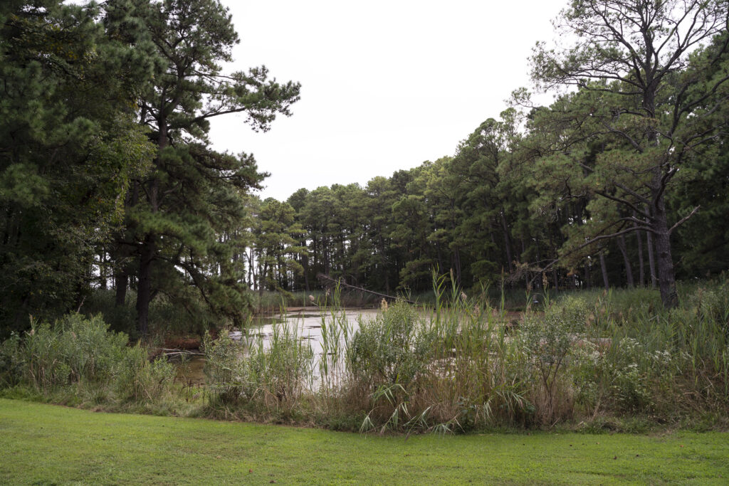 Chesapeake Bay Environmental Area pond